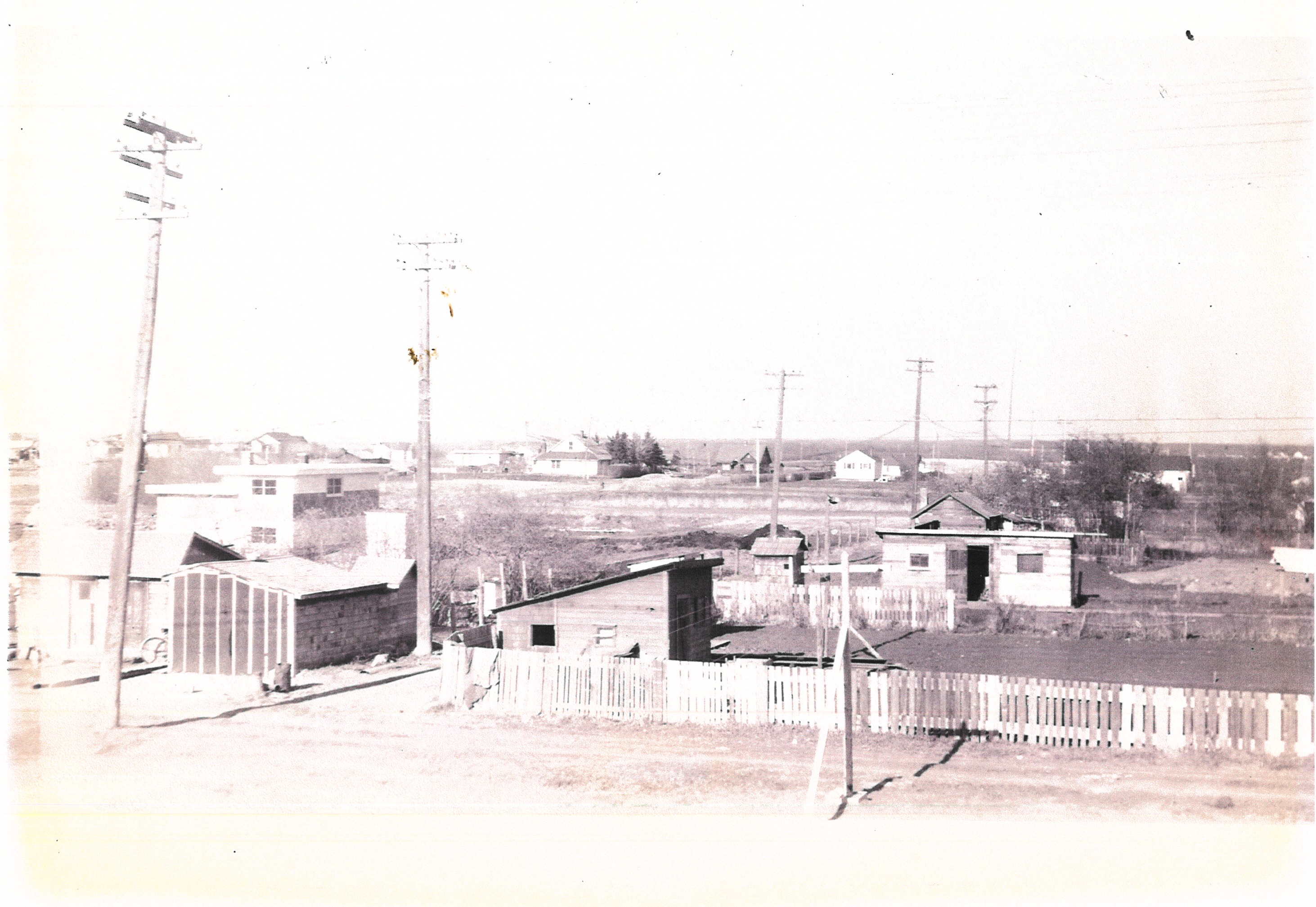 View over the surrounding blocks of Allendale, still sparsely built, late 1950s
